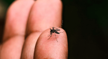 Três unidades básicas de saúde deixam de atender casos de dengue em horário estendido