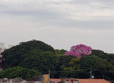 Em Indaiatuba, o primeiro sábado do inverno é de céu nublado (Foto: Patrícia Lisboa/Dropes)