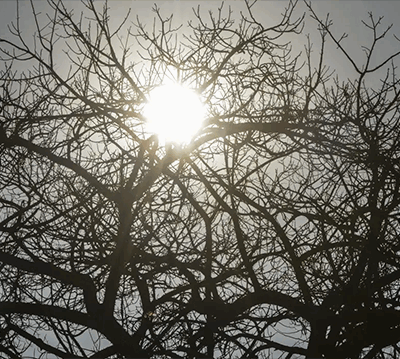 Tempo seco requer cuidados com a saúde (Foto: Marcello Casal Jr/Agência Brasil)