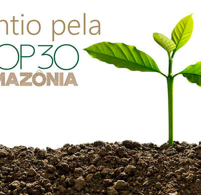 (Banner: Divulgação)