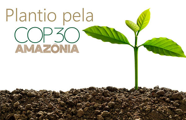 (Banner: Divulgação)