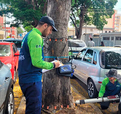 Tomógrafo foi usado em árvores da área de abrangência do estudo para uma avaliação mais precisa (Foto: Secom/PMI)
