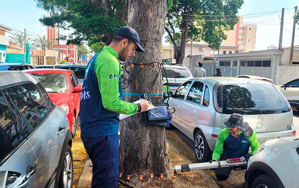 Tomógrafo foi usado em árvores da área de abrangência do estudo para uma avaliação mais precisa (Foto: Secom/PMI)
