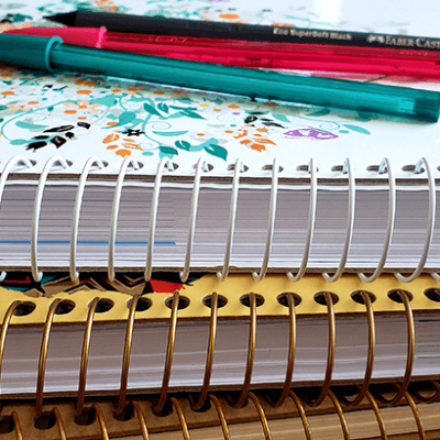 Procon aponta variação de quase 280% no preço de material escolar (Foto: Patrícia Lisboa/Dropes)