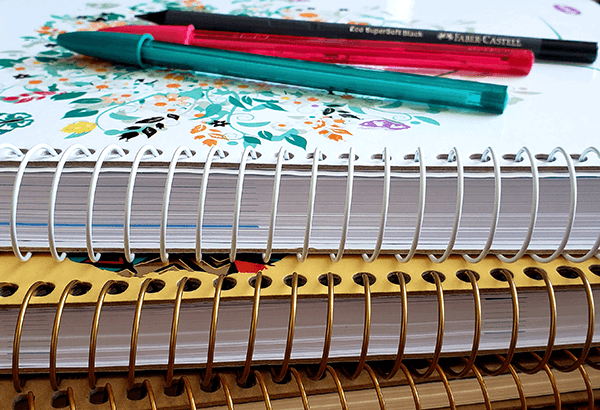 Procon aponta variação de quase 280% no preço de material escolar (Foto: Patrícia Lisboa/Dropes)